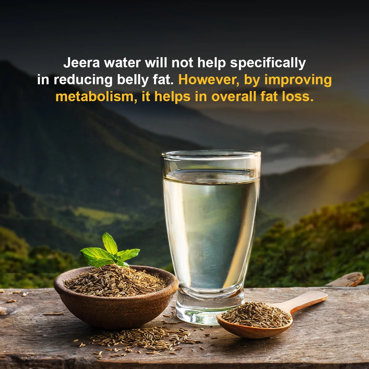 Cumin Seed (Jeera) Classic